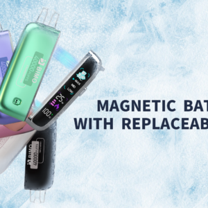 Alternative view of BIMO Felxy 40000 Puffs